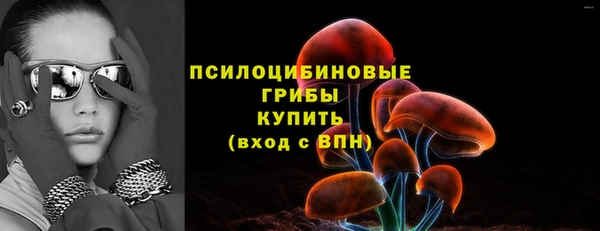 apvp Покров