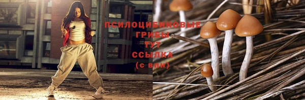 не бодяженный Аркадак